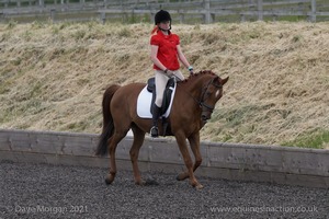 ISIS Dressage Challenge 2008